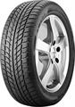 245/40R17 95V XL Goodride SW608